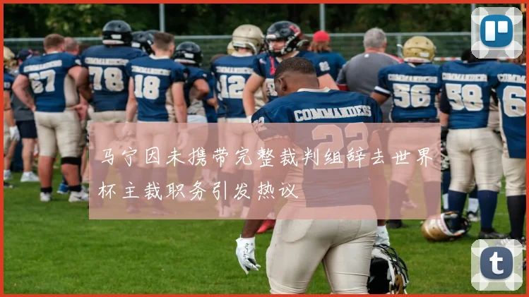 马宁因未携带完整裁判组辞去世界杯主裁职务引发热议
